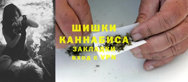 ешки Дмитриев